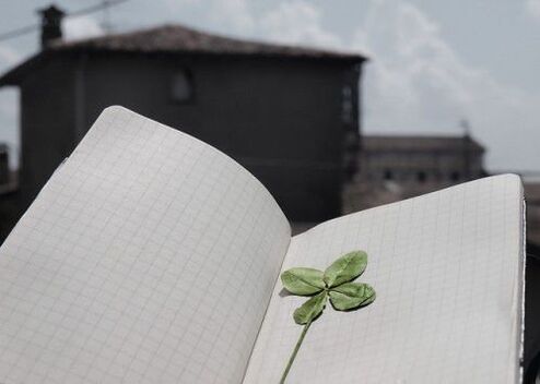 Four-leaf clover - a talisman of luck