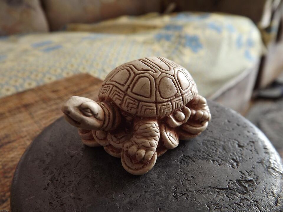 turtle figure as a lucky charm
